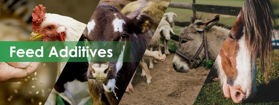 Folic acid Powder Applications Folic acid Powder Applications