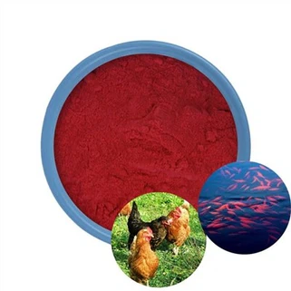 Astaxanthin pulver 10 %