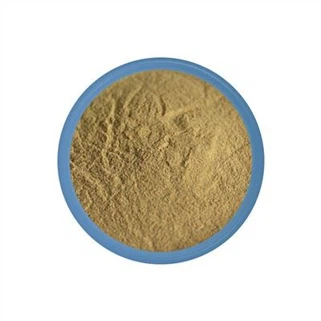 Bacillus Subtilis