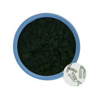 Spirulina Bulk Pulver